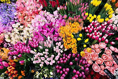 任天堂追查《塞尔达传说：王国之泪》画集泄露者